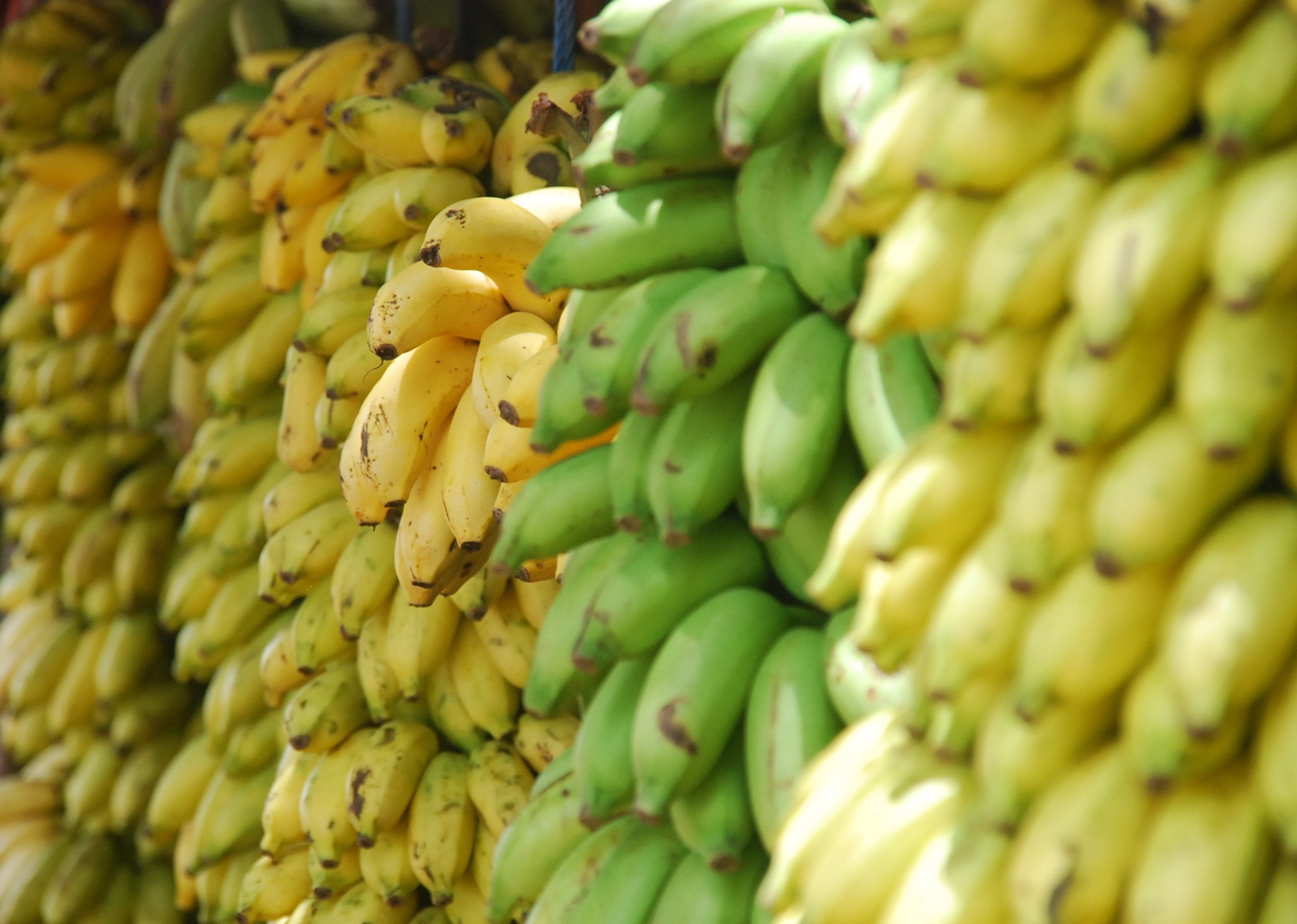 banana Maike's Eetblog